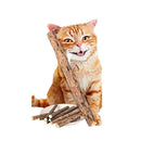 Vara Graveto Catnip Matatabi Limpa Dentes - Deixa o Gato Feliz