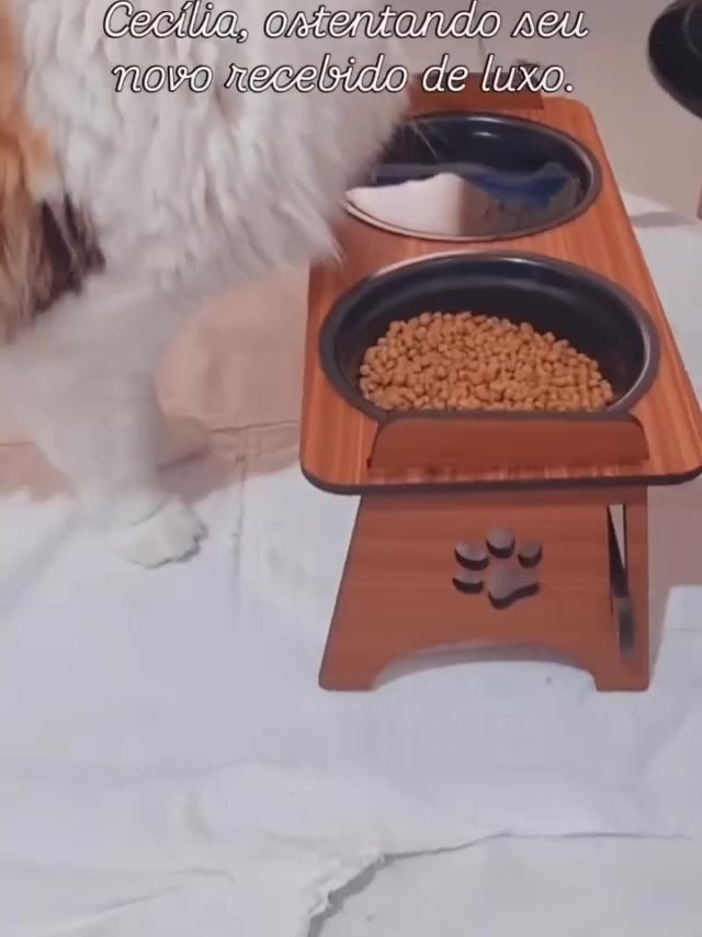 Comedouro Bebedouro Pet Suspenso Para Gato e Cachorro Com TAMPAS