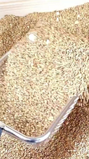 Ferramentas De Limpeza Para Animais De Estimação Pá De Aço Inoxidável Rede Areia Répteis Lagarto