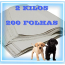 Jornal Papel Pet Limpo 2KG, 3KG, 4KG, 5KG, 10KG Tapete Pet Biodegradável FOLHAS GRANDES 50 ×70