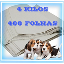 Jornal Papel Pet Limpo 2KG, 3KG, 4KG, 5KG, 10KG Tapete Pet Biodegradável FOLHAS GRANDES 50 ×70