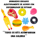 KIT BRINQUEDO MORDEDOR PET CÃES GATOS APITO
