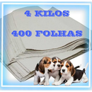 Jornal Papel Pet Limpo 2KG, 3KG, 4KG, 5KG, 10KG Tapete Pet Biodegradável FOLHAS GRANDES 50 ×70