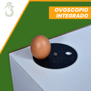 Chocadeira Automatica 35 a 45 Ovos de Galinha ou 90 Ovos de Codorna + Ovoscopio + APP de BÔNUS