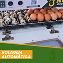 Chocadeira Automatica 35 a 45 Ovos de Galinha ou 90 Ovos de Codorna + Ovoscopio + APP de BÔNUS