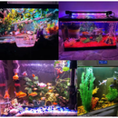 Lâmpada Subaquática Luminária Para Aquário Lâmpada LED Colorida Para Aquário/Paisagismo 110/220v
