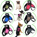 Coleira pet resistente para cachorro pitbull labrador dogo rottweiller + guia peitoral de cão husky