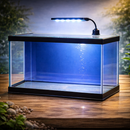Aquário 20 Litros vidro 3mm tampa partida 40x20x25 ideal para peixes