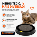 Arranhador para Gatos Redondo com Bolinha Interativo Relax Antiestresse Brinquedos para Gatos