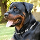 Enforcador Triplo , Duplo e Simples para Cães Elo chato 2.5 e 3.5 x 60 e 70