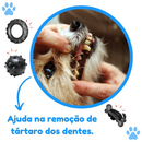 Kit Brinquedo Mordedor para Cachorro Pneu G + Bola Cravo Maciça 75mm + Osso Grande Black com Corda
