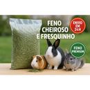 Feno 2kg Envio Imediato - Selecionado - Auxilia Desgaste Dentário e Digestão de Roedores