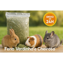 Feno 2kg Envio Imediato - Selecionado - Auxilia Desgaste Dentário e Digestão de Roedores